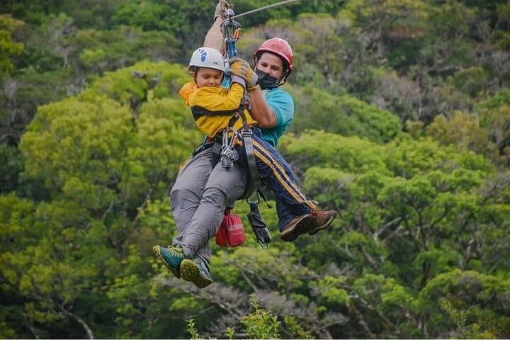 Monteverde Combo Original: Zipline, Tarzan Swing, Rappel & Tree Climb