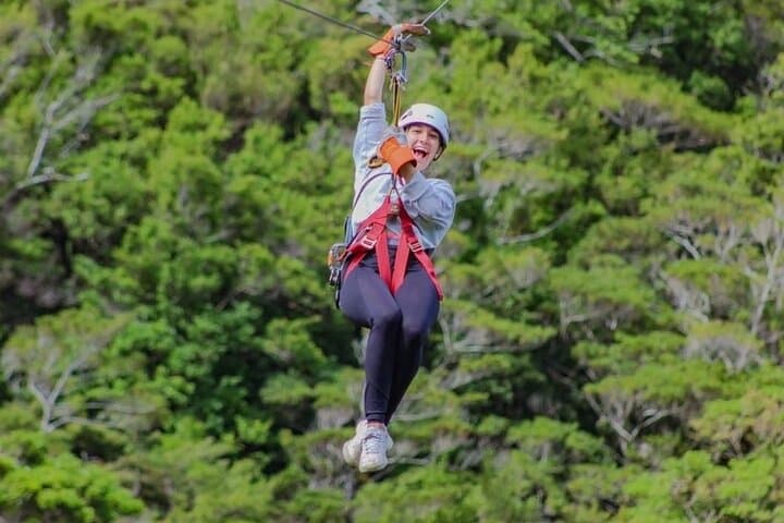 Monteverde Combo Original: Zipline, Tarzan Swing, Rappel & Tree Climb photo 4