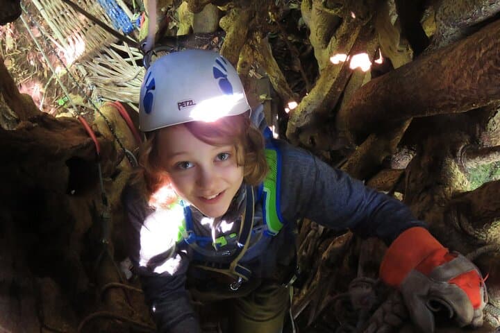 Monteverde Combo Original: Zipline, Tarzan Swing, Rappel & Tree Climb photo 5