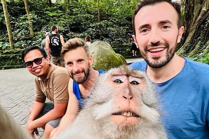 Bali Jungle Swing and Ubud Day Tour: Monkey Forest, Ceking Rice Terrace & Tegenungan Waterfall photo 2