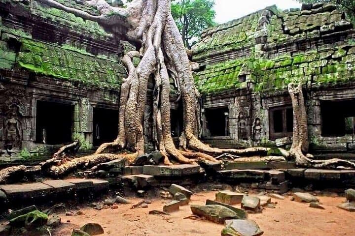 Full-Day Private VIP Tour of Angkor Complex: Angkor Wat, Bayon & Ta Prohm photo 5