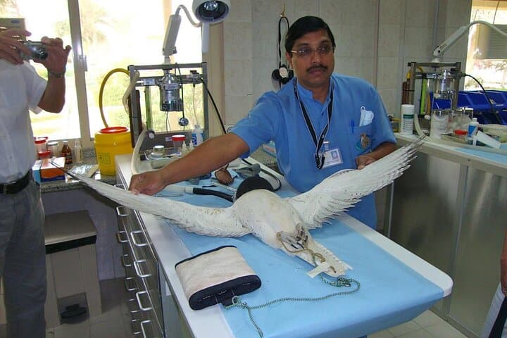 Private Abu Dhabi Tour: Sheikh Zayed Mosque & Falcon Hospital Experience photo 2