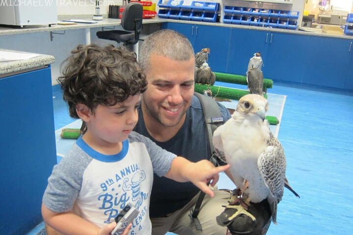Private Abu Dhabi Tour: Sheikh Zayed Mosque & Falcon Hospital Experience photo 3