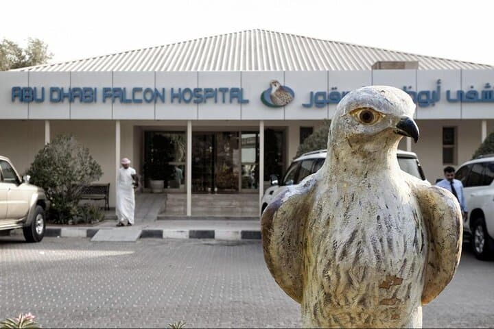 Private Abu Dhabi Tour: Sheikh Zayed Mosque & Falcon Hospital Experience