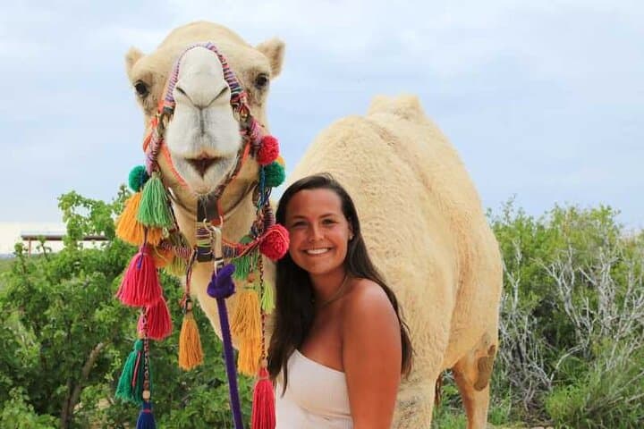 Cabo Arch Cruise and Camel Beach Ride: Boat-to-Beach in One Day photo 5
