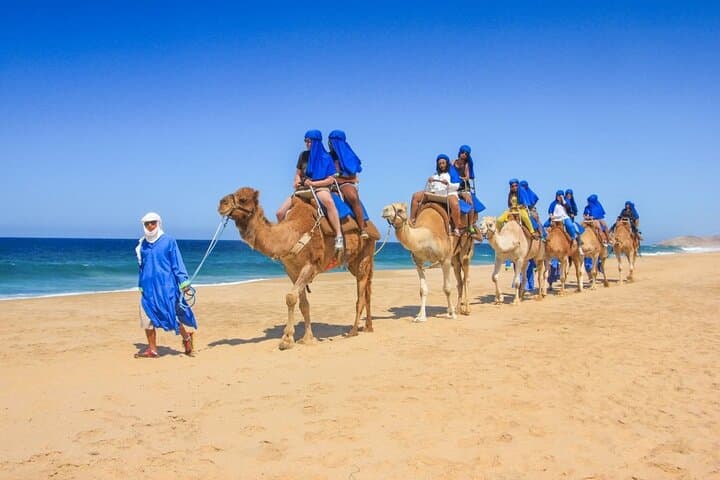 Cabo Arch Cruise and Camel Beach Ride: Boat-to-Beach in One Day photo 3