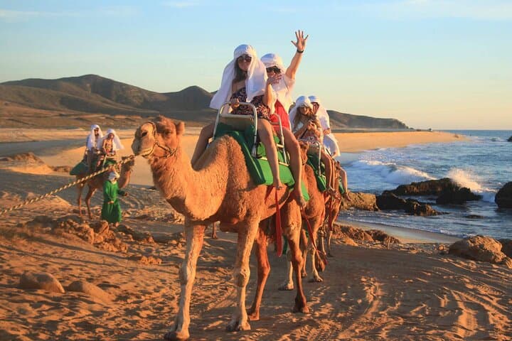 Cabo Arch Cruise and Camel Beach Ride: Boat-to-Beach in One Day