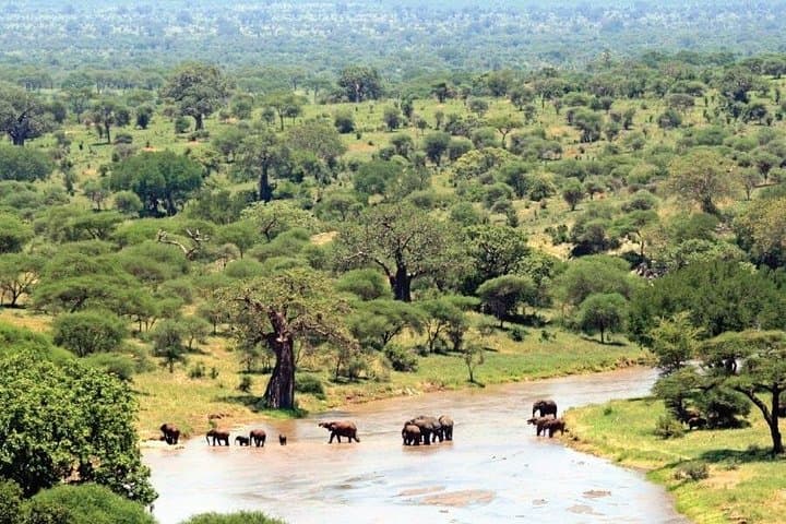 4-Day Private Camping Safari: Tarangire, Serengeti & Ngorongoro Crater photo 2