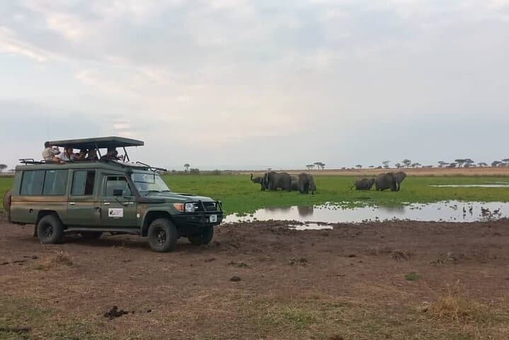 4-Day Serengeti & Ngorongoro Safari from Arusha photo 6