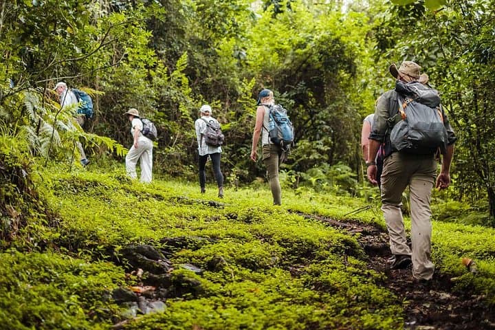 Arusha National Park: Family-Friendly Walking & Canoe Safaris Near Arusha photo 3