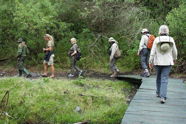 Two-Day Private Kilimanjaro Hike: Marangu Gate to Mandara Hut & Maundi Crater photo 2