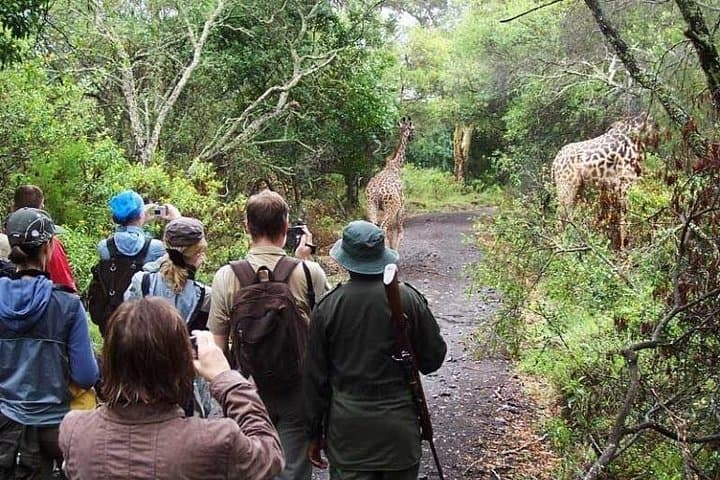 Arusha National Park: Family-Friendly Walking & Canoe Safaris Near Arusha photo 1