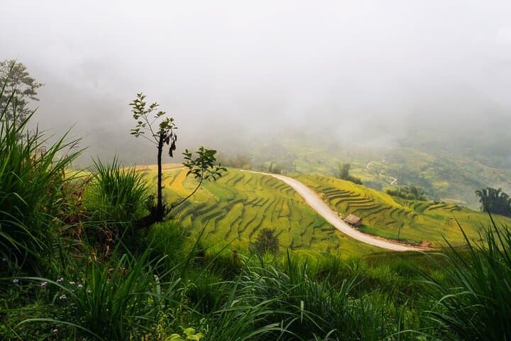 3-Day Sapa Trek and Fansipan Cable Car: Rice Terraces & Hilltribe Villages photo 5
