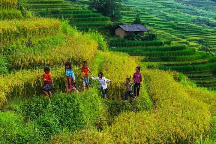 3-Day Sapa Trek and Fansipan Cable Car: Rice Terraces & Hilltribe Villages photo 6