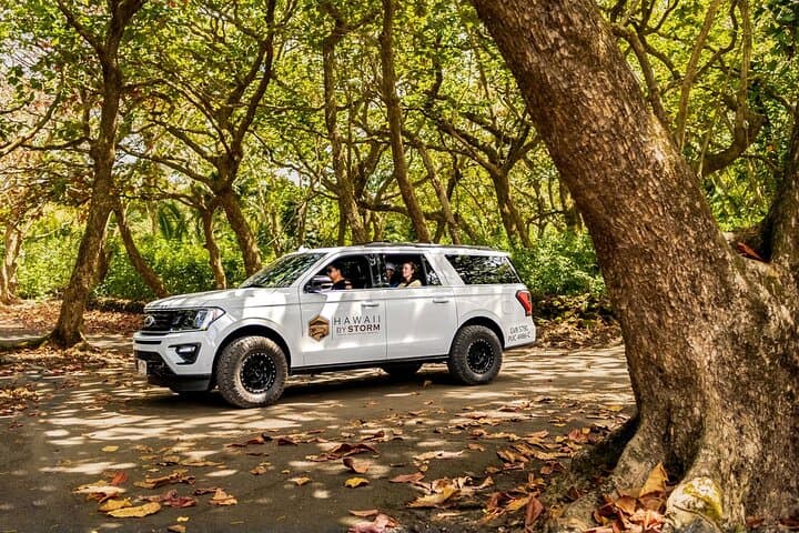 Private Road to Hana Luxury Tour: Waterfalls, Black Sand Beach, and Backroad Sights photo 4
