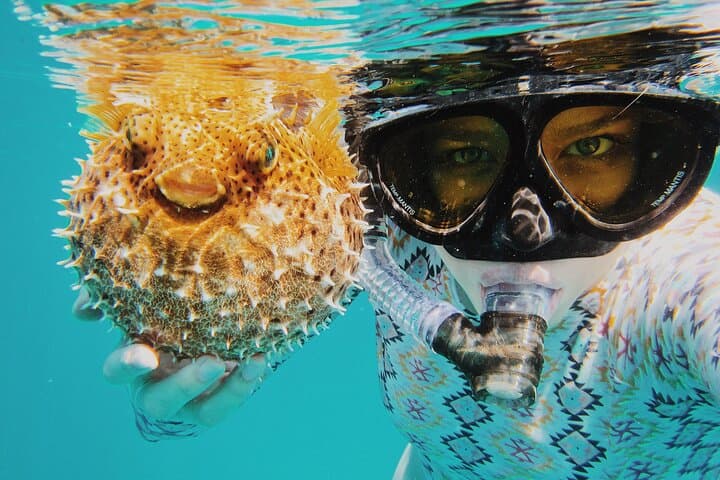 Montego Bay Discover Scuba Diving: One-Tank Intro to Coral Reefs photo 3
