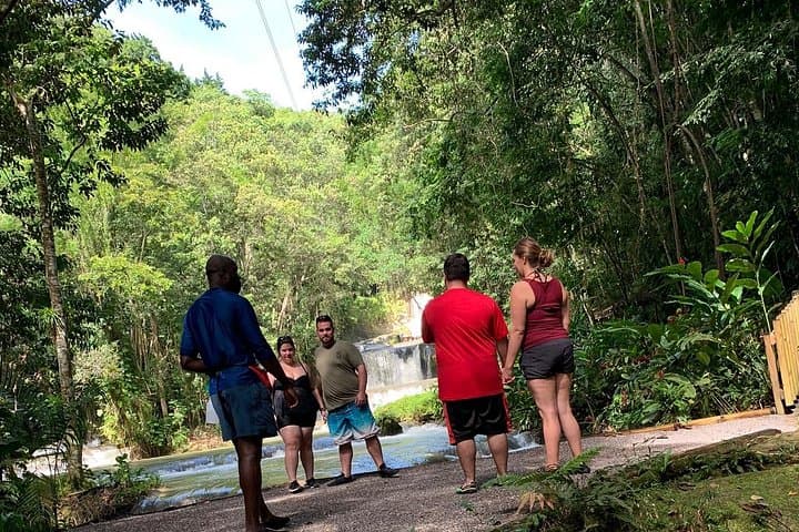 South Coast Highlights: YS Falls, Black River Safari & Pelican Bar Day Tour photo 3