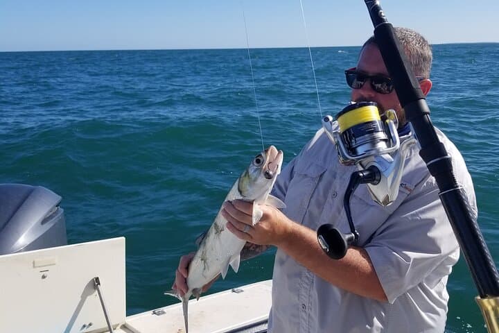 Small-Group Fishing Charter on the Gulf off Belleair Bluffs photo 5