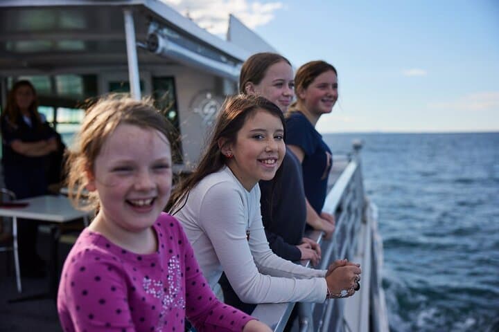 Sydney Whale-Watching Cruise with Lunch: Harbour Sights to Humpbacks photo 5
