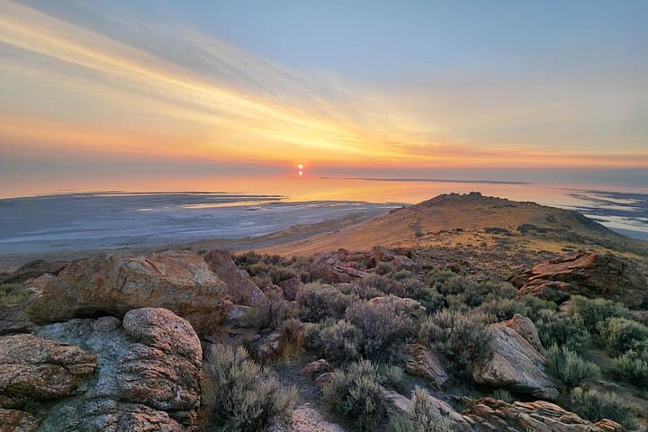 Sunset Wildlife Tour on Antelope Island — Great Salt Lake Bison & Birding photo 4