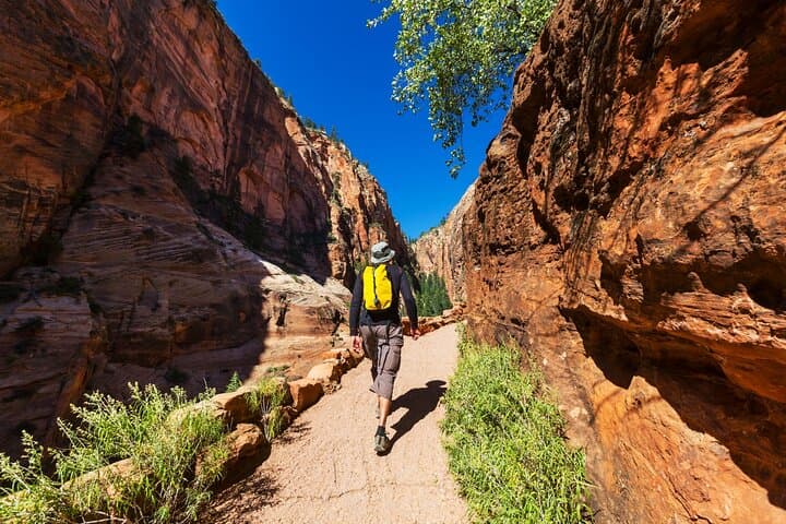 Self-Guided Zion National Park Driving & Shuttle Audio Tour photo 5