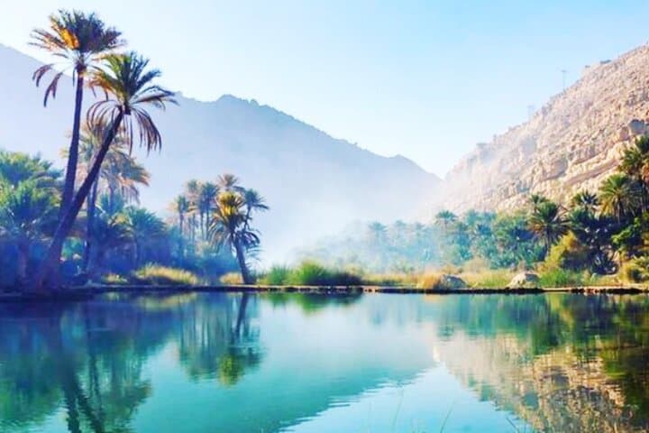 Wadi Bani Khalid & Wahiba Sands: Full-Day Oasis and Dune Adventure from Muscat photo 6