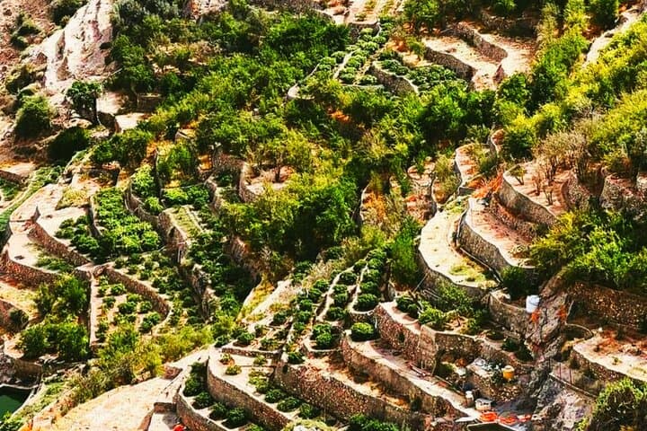 Birkat Al Mouz & Jebel Akhdar Full-Day: Saiq Plateau Hike and Village Walk photo 2