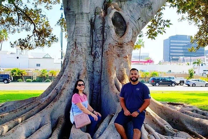 Beverly Hills Walking Tour: Stars, Cars & Chocolate on Rodeo Drive photo 6