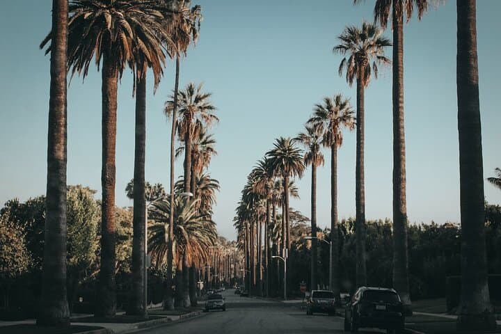 Beverly Hills Walking Tour: Stars, Cars & Chocolate on Rodeo Drive photo 5