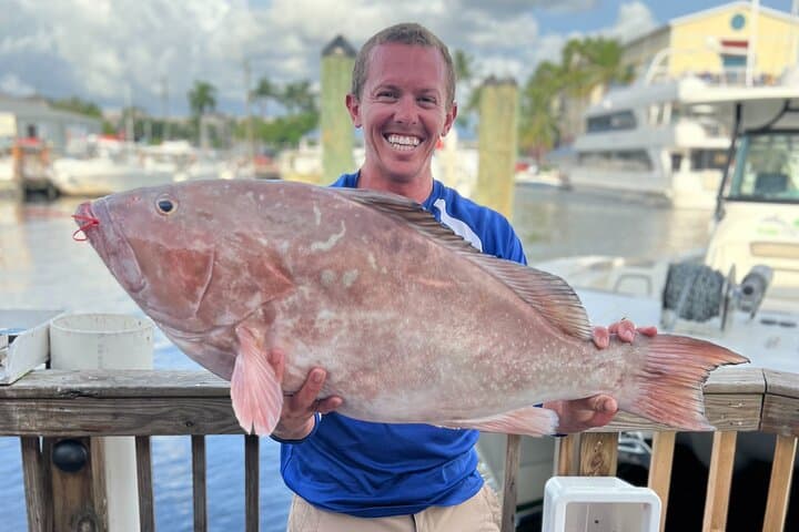 6-Hour Deep-Sea Fishing Split Charter from Naples, FL photo 3