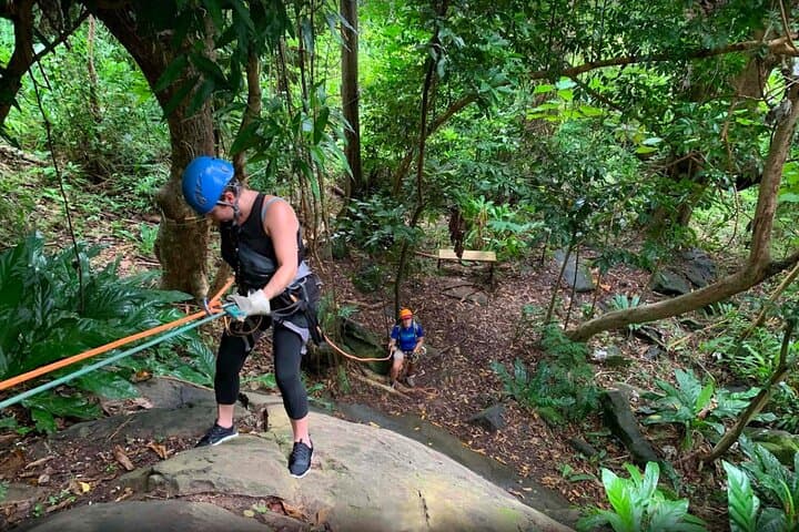 El Yunque Ziplining: Rainforest Canopy Adventure Near San Juan photo 4