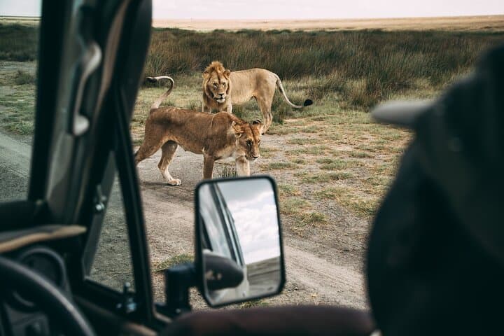 Selous Game Reserve Day Trip from Zanzibar — Nyerere National Park Safari photo 3