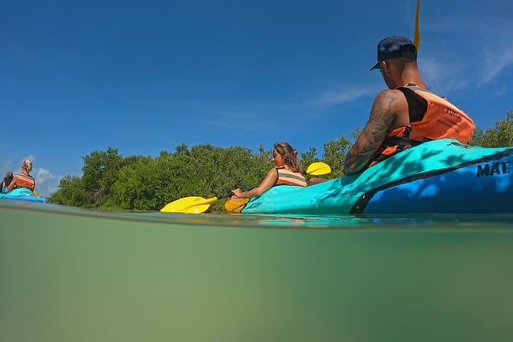 Explore Isla Holbox Mangroves: A Guided Kayaking Adventure