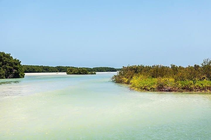 Cabo Catoche Private Boat Tour: Fishing, Snorkeling & Fresh Ceviche from Holbox photo 2