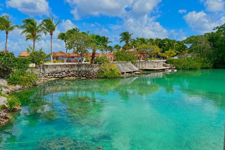 Chankanaab Cozumel Day Pass — Snorkel, Open Bar & Mayan Park Experience photo 4