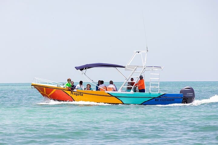 Swim with Whale Sharks from Isla Holbox — Full-Day Snorkel & Reef Stops photo 6