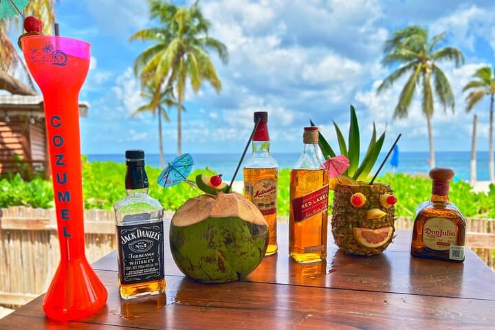 Chankanaab Cozumel Day Pass — Snorkel, Open Bar & Mayan Park Experience