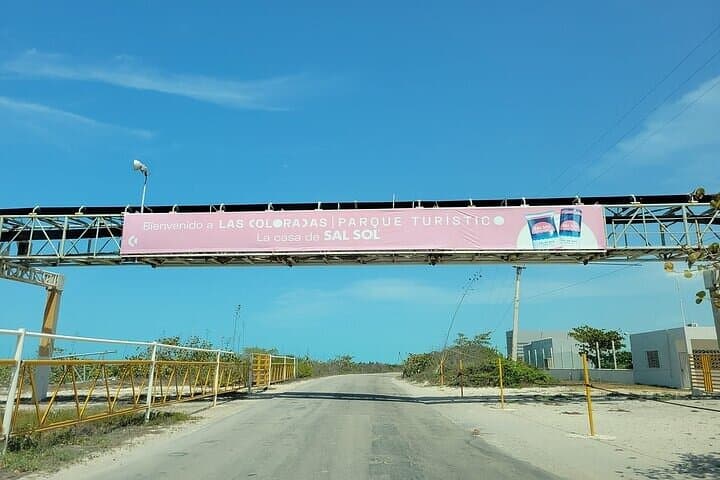 Day Trip to Las Coloradas and Ría Lagartos: Pink Lakes, Mangroves & Flamingos from Cancun photo 6