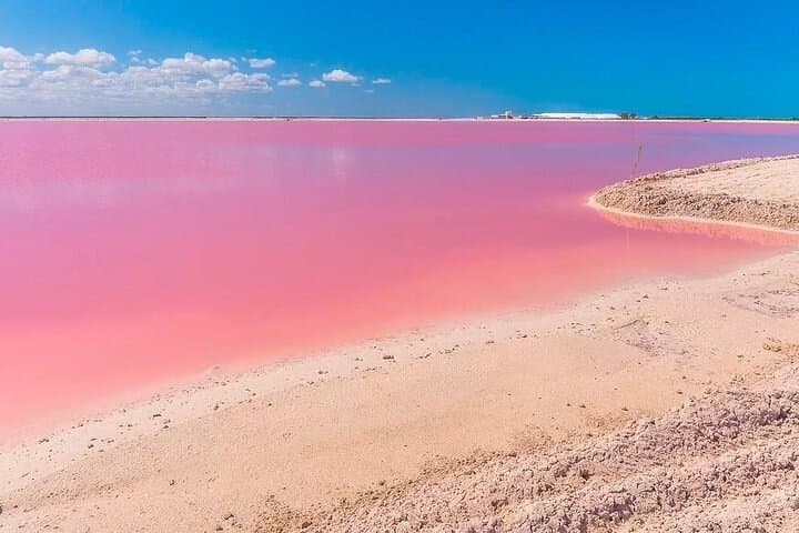 Day Trip to Las Coloradas and Ría Lagartos: Pink Lakes, Mangroves & Flamingos from Cancun photo 2