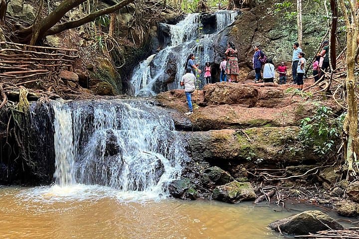 Karura Forest Nature Trail: Nairobi's Urban Wilderness Walks and Bike Routes