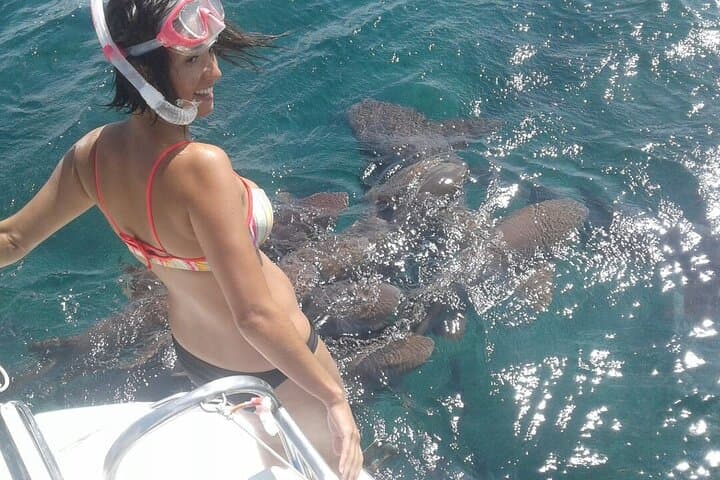 Hol Chan & Shark Ray Alley Private Half-Day Snorkel Charter from San Pedro photo 2