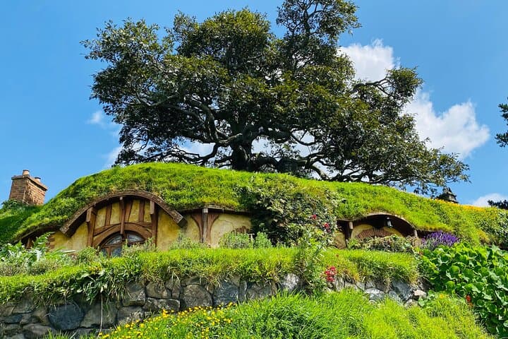 Hobbiton Movie Set from Tauranga: Small-Group Shire Tour & Lunch
