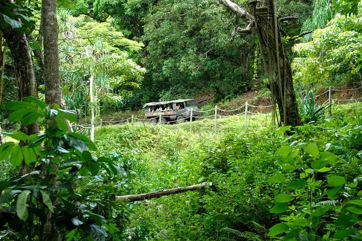 Kualoa Ranch Jungle Expedition: Off‑Road Pinzgauer Adventure on Oahu