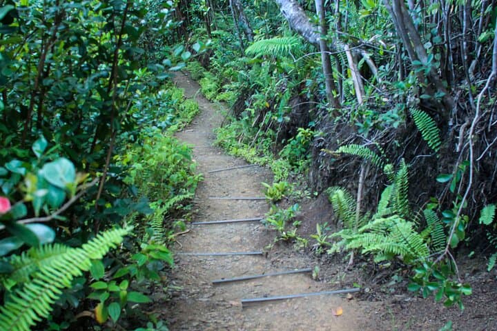 Kualoa Ranch Jungle Expedition: Off‑Road Pinzgauer Adventure on Oahu photo 6
