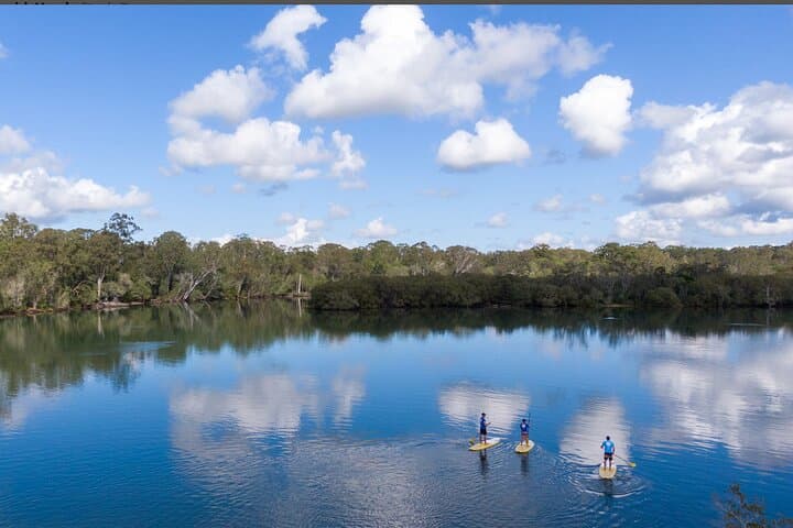 Private Stand Up Paddle Boarding Tour Byron Bay — SUP with Turtles & Dolphins photo 3