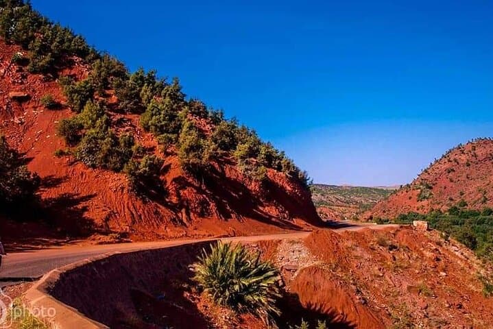 Private Ourika Valley Excursion from Marrakech: Atlas Mountains Day Trip photo 6