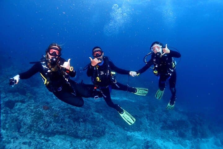 Bali Diving at Tanjung Benoa — Beginner-Friendly Shore Dives in Nusa Dua photo 4