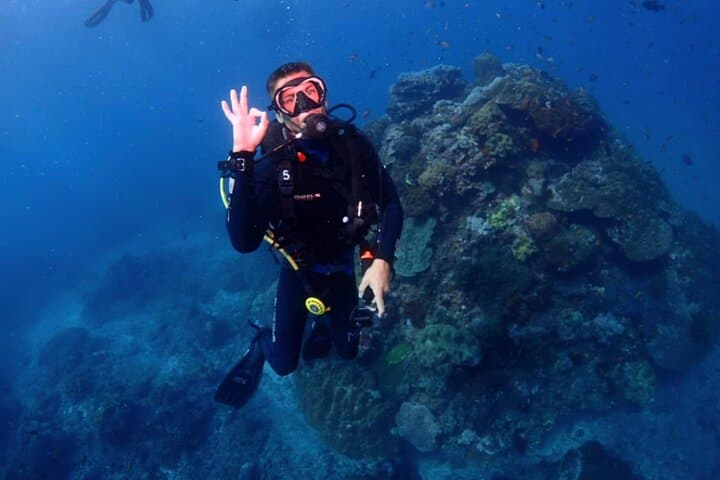 Bali Diving at Tanjung Benoa — Beginner-Friendly Shore Dives in Nusa Dua photo 6