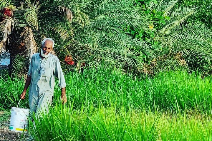 Full-Day Hatta & Masfoot Tour: Hatta Mountains, Heritage Village & Honey Bee Centre photo 4