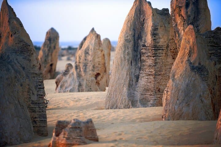Pinnacles Desert, Yanchep and Swan Valley Day Tour from Perth photo 3